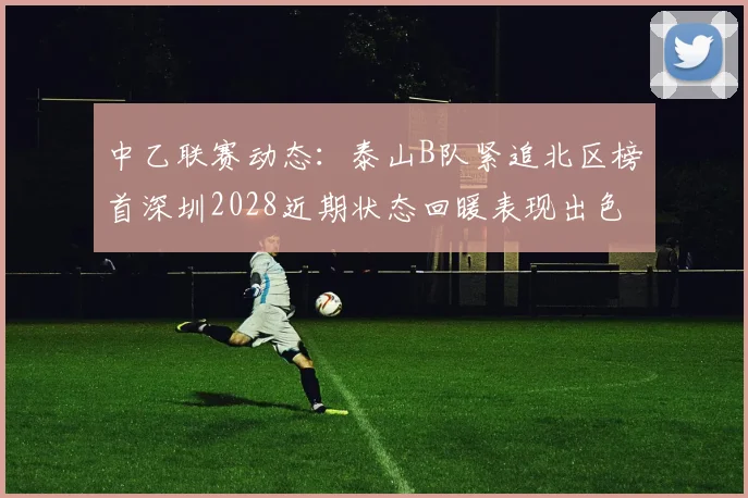 中乙联赛动态：泰山B队紧追北区榜首深圳2028近期状态回暖表现出色